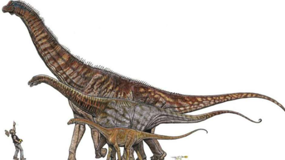 Museu de Ciências da Terra / Divulgação