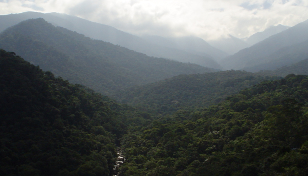 itatiaia.jpg