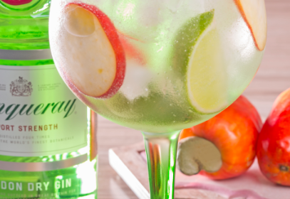 Tanqueray Rio Tonic - Rio Drink Festival