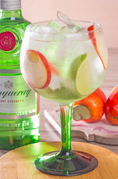 Tanqueray Rio Tonic - Rio Drink Festival