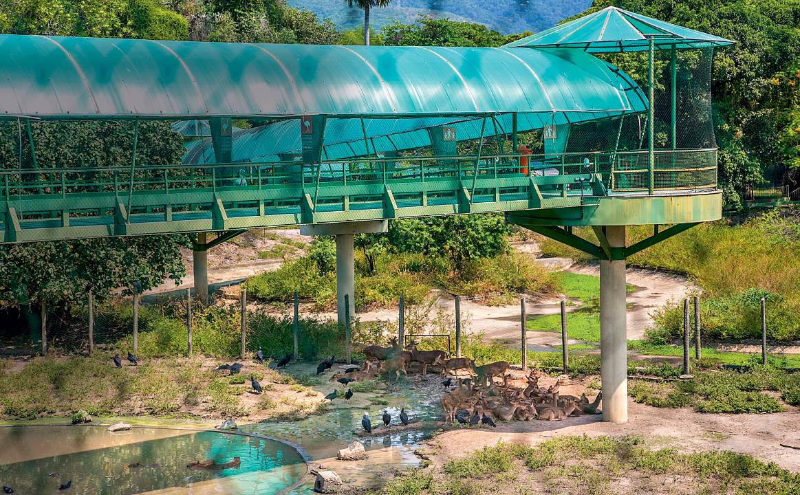 Zoológico rio