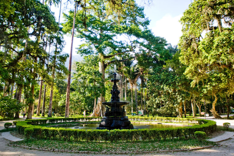Jardim Botânico é o destino turístico mais procurado no Rio, segundo app