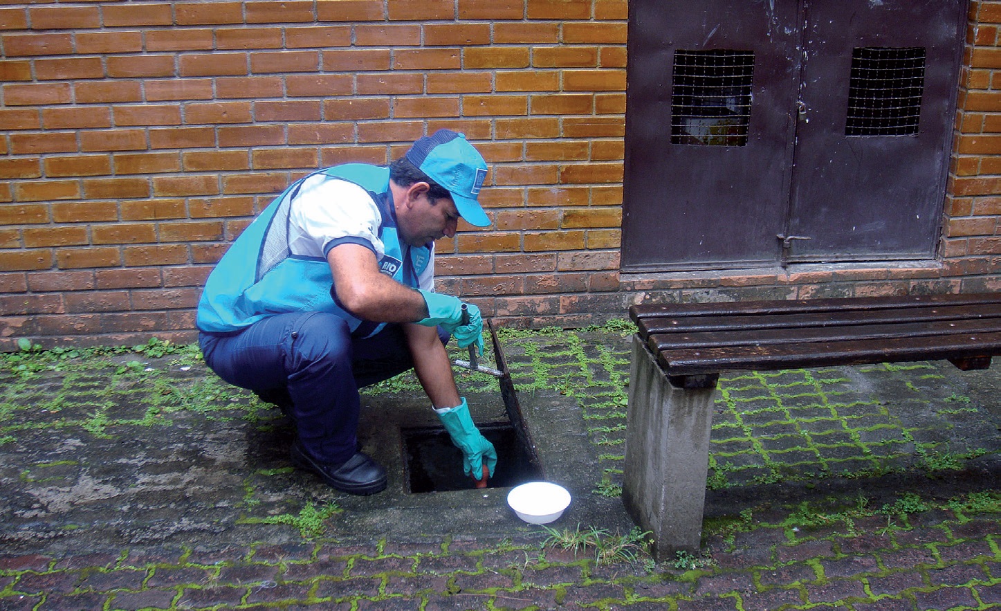 Rio apresenta menor índice de infestação por Aedes aegypti da história
