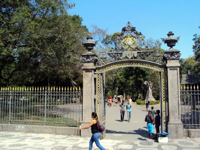 Felinos com teto: gatos vão ganhar casas no Campo de Santana