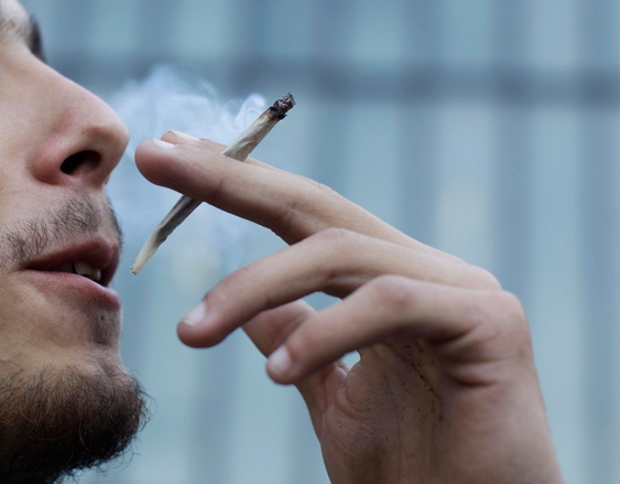 Brasil arrecadaria R$ 5 bilhões com legalização da maconha