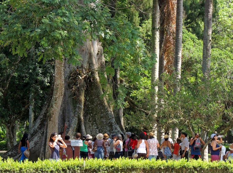 Jardim Botânico celebra o início da primavera
