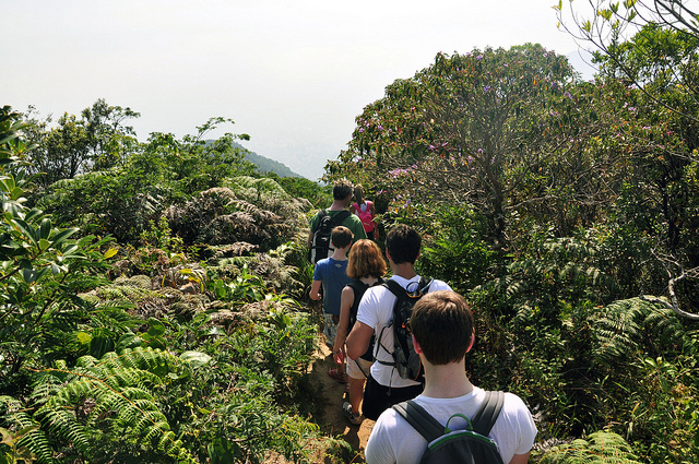 parque-tijuca.jpg