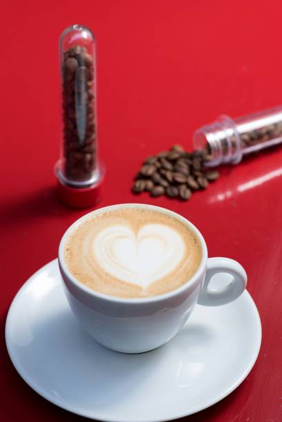 Capuccino: sugestão da carta Capuccino: sugestão da carta