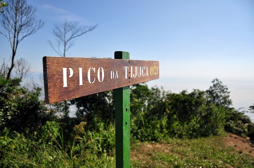 Após pouco mais de uma hora de caminhada, é possível chegar ao topo do Pico da Tijuca. Trata-se do segundo local mais alto da cidade, com 1021 metros de altitude<br> Após pouco mais de uma hora de caminhada, é possível chegar ao topo do Pico da Tijuca. Trata-se do segundo local mais alto da cidade, com 1021 metros de altitude<br>