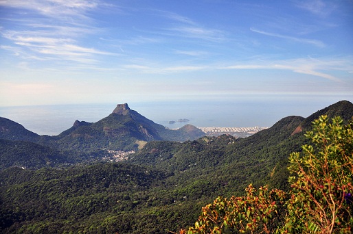 Da montanha é possível avistar toda a floresta, a Zona Sul, a Barra e o Centro<br>