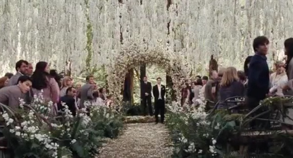 Detalhe do casamento de Edward Cullen e Bella Swan<br> Detalhe do casamento de Edward Cullen e Bella Swan<br>