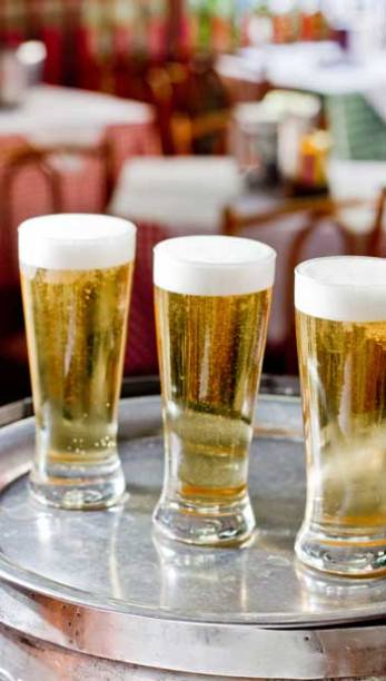 Tulipas na bandeja no Jobi Tulipas na bandeja no Jobi