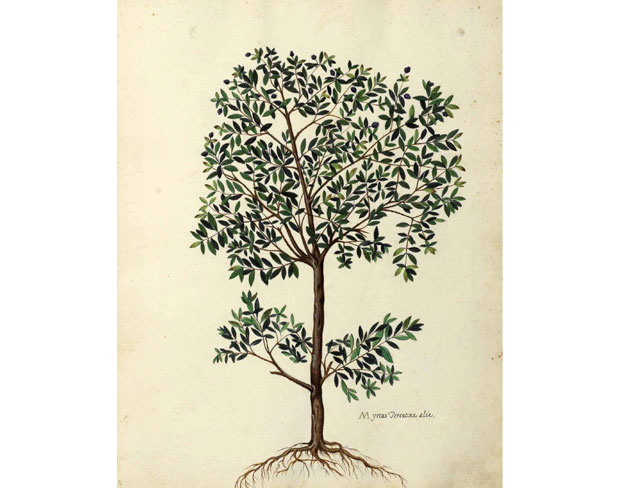 Tem também para os amantes da natureza<br> Tem também para os amantes da natureza<br>