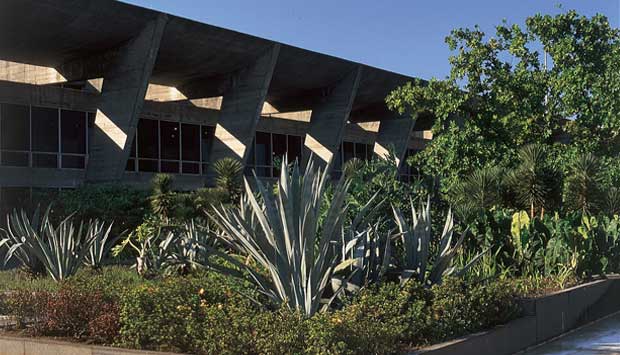 Museu de Arte Moderna (MAM)