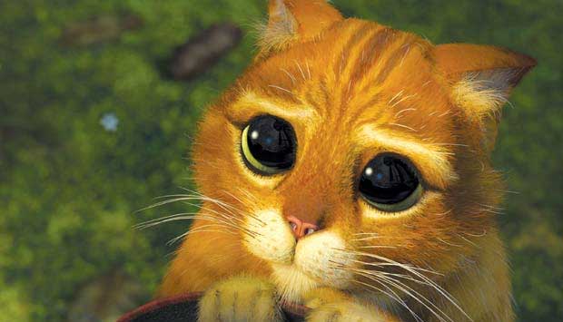 Como quase todos personagens de Shrek, este gatinho é uma referência de um conto clássico; no caso, O Gato de Botas. No filme, ele faz várias referências ao personagem Zorro. O Gato de Botas foi contratado para destruir Shrek, a mando do Rei Harold, que q<br> Como quase todos personagens de Shrek, este gatinho é uma referência de um conto clássico; no caso, O Gato de Botas. No filme, ele faz várias referências ao personagem Zorro. O Gato de Botas foi contratado para destruir Shrek, a mando do Rei Harold, que q<br>