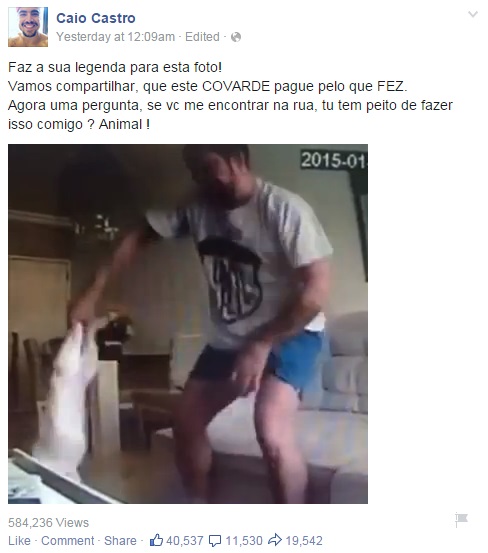 Glória Pires faz desabafo contra maus tratos a animais e vídeo postado pela atriz ao lado de sua cadelinha Bijoux viraliza