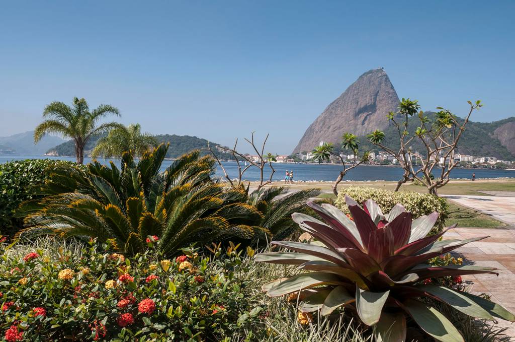 Jardim de Memórias —  Parque do Flamengo 50 anos