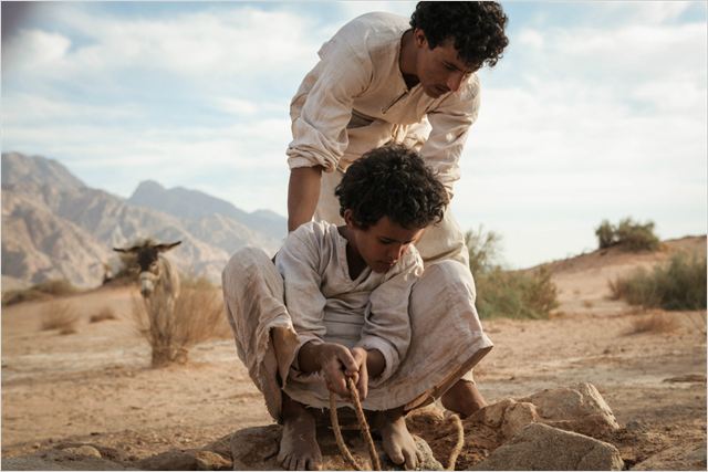 O Lobo do Deserto