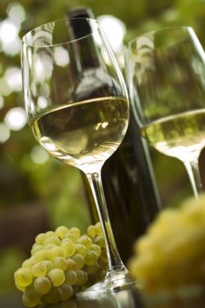 Você conhece a Sauvignon Blanc?