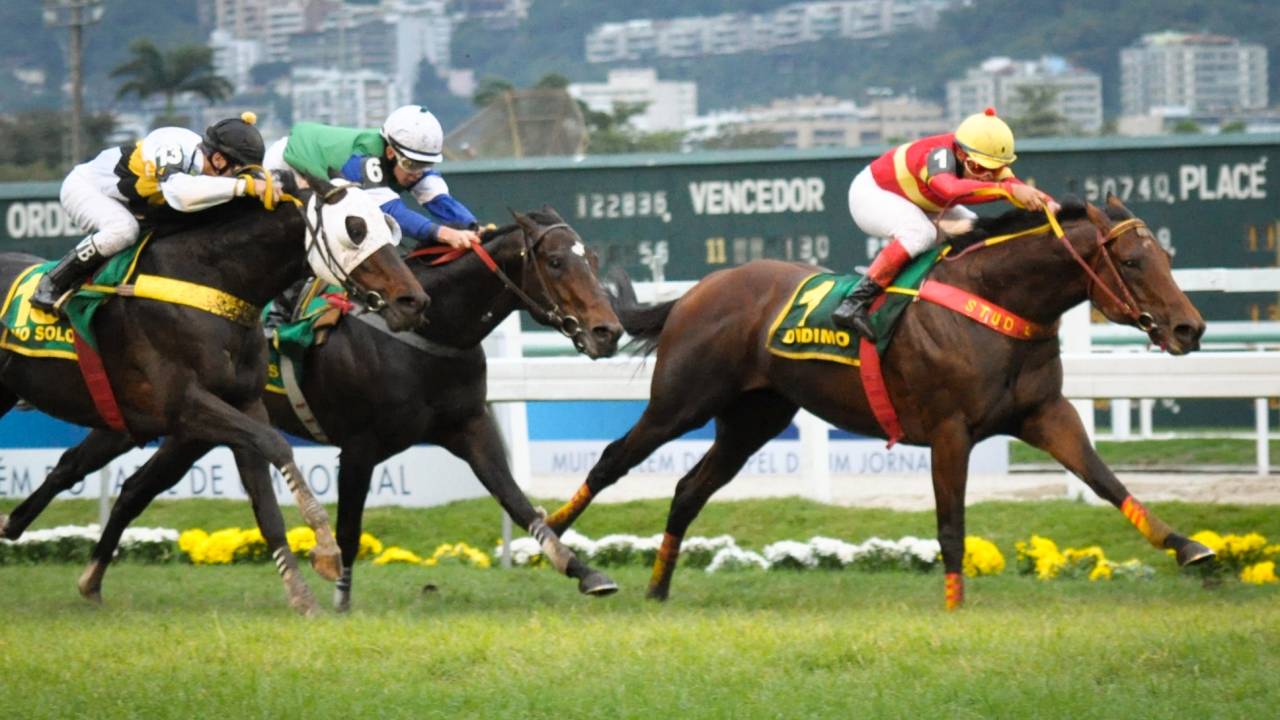 turfe-jockey-club-gavea.jpeg