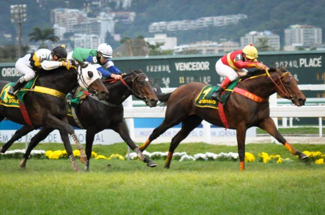 turfe-jockey-club-gavea.jpeg