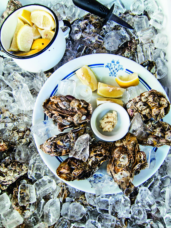 Onde saborear ostras frescas no verão carioca