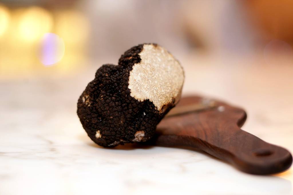 Casas servem menus de trufas negras