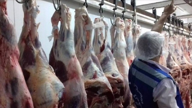 Procon descarta 218 kg de carne vencida no Rio