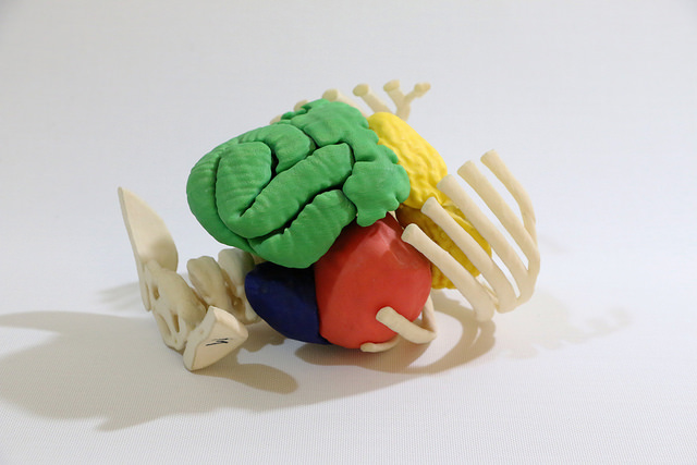 MAST recebe exposição com peças de impressoras 3D