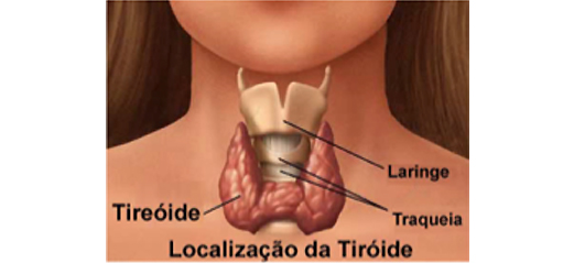 Os perigos dos abusos na suplementação de iodo