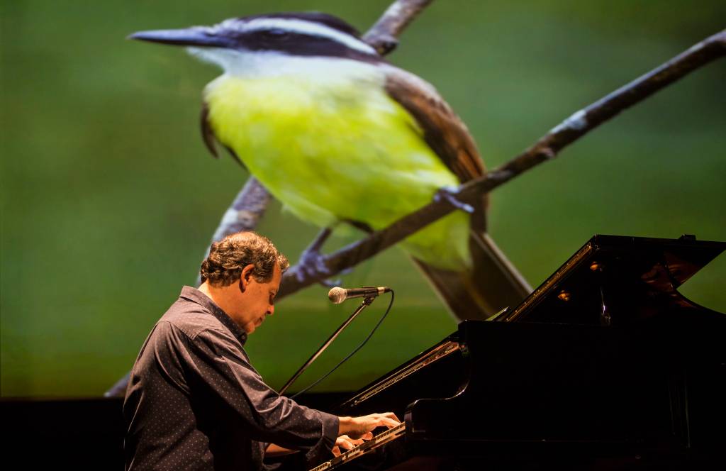Pianista une música e ecologia em concertos gratuitos