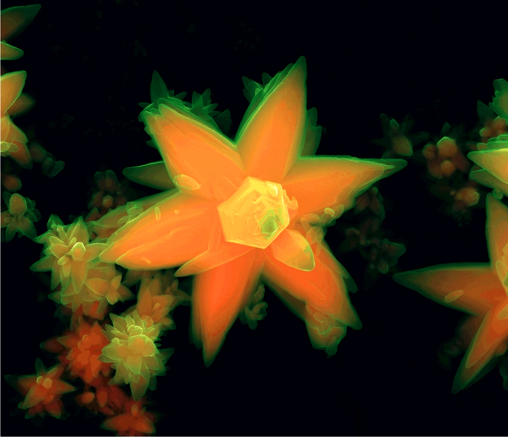 Três exposições abrem no circuito carioca