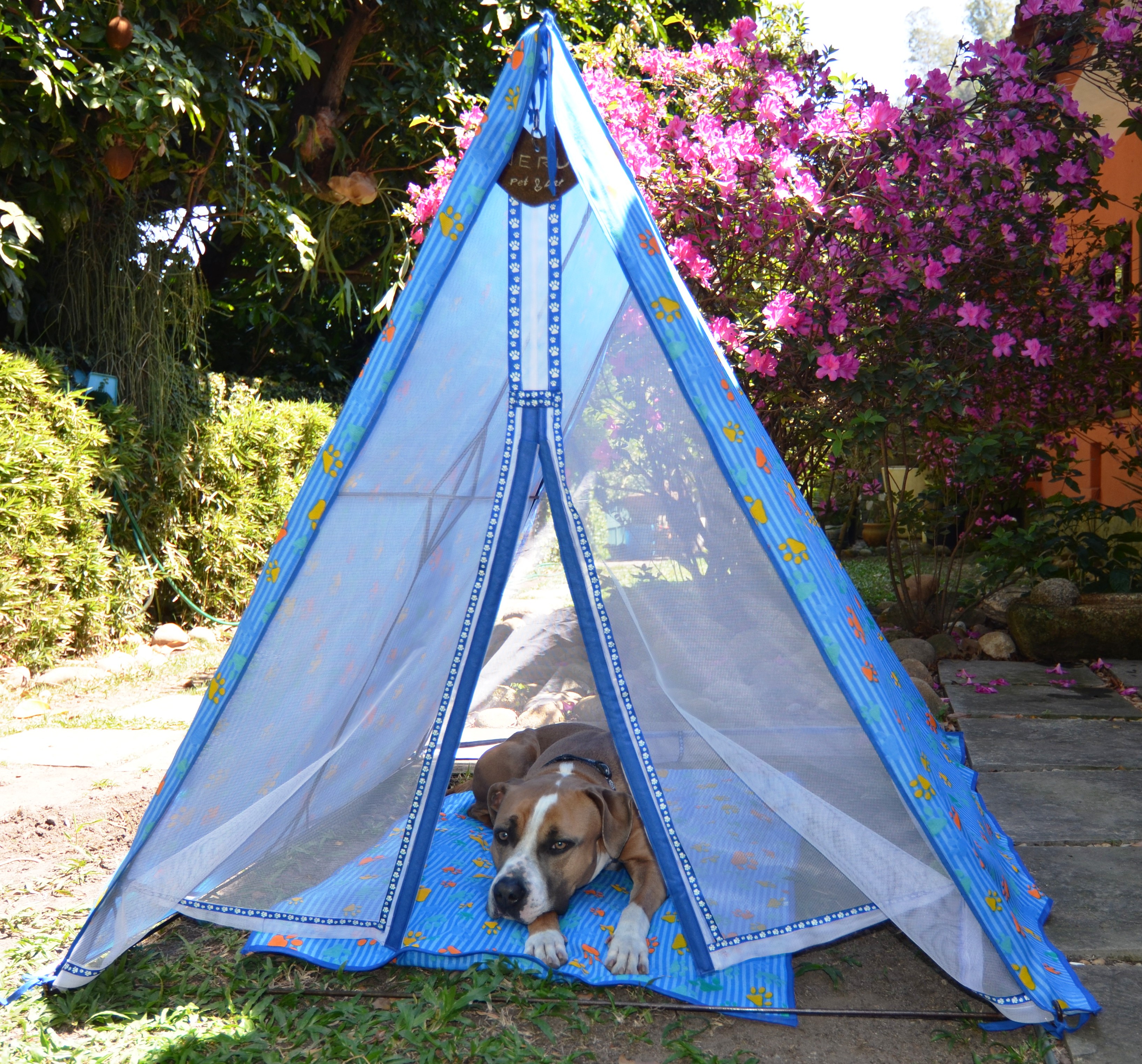 Artista plástica cria cabanas confortáveis para cachorros