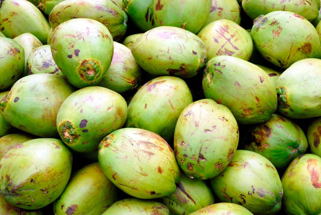 Rio ganha programa de reciclagem do coco verde