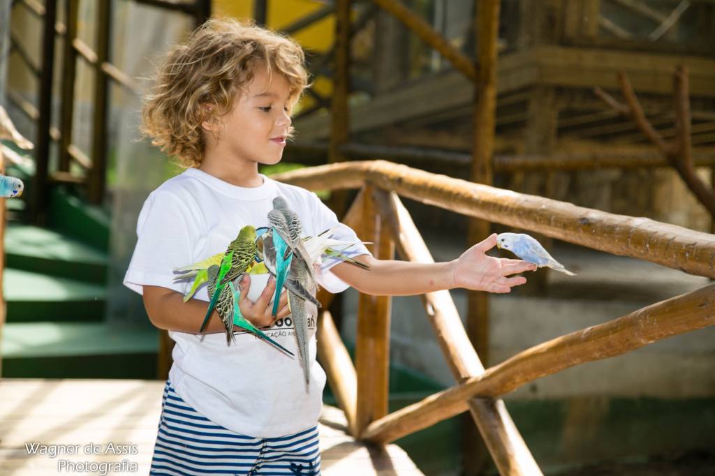 Diversão verde: três programas infantis para curtir a natureza