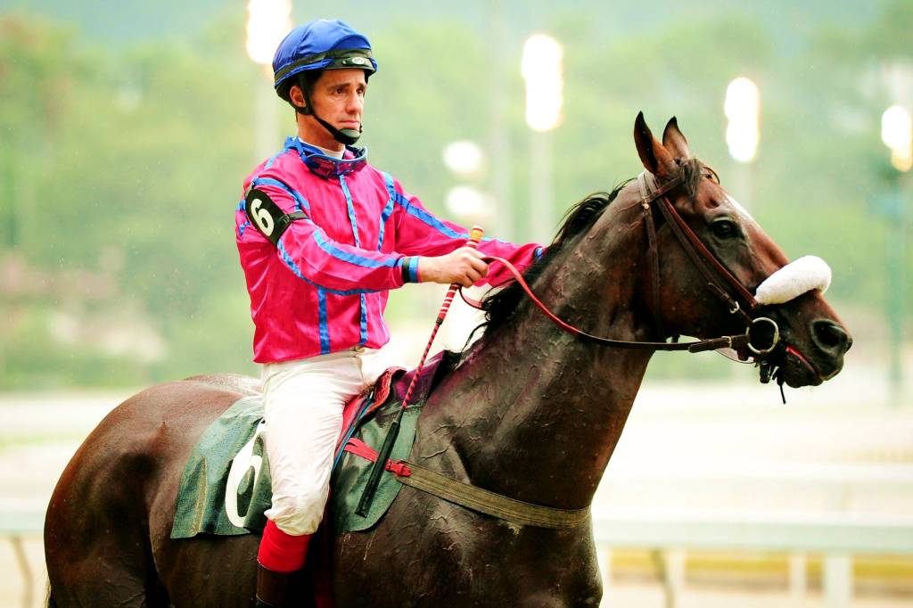 Ídolo do turfe volta ao hipódromo para igualar recorde mundial 