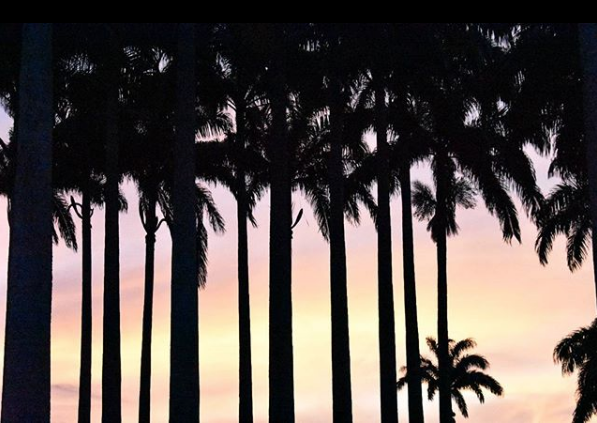 Missão Instagram: Um passeio no museu