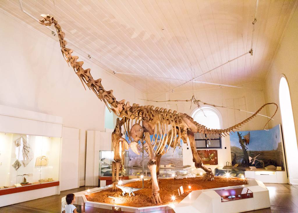 Museu Nacional coleta doações para restauração de peça do acervo