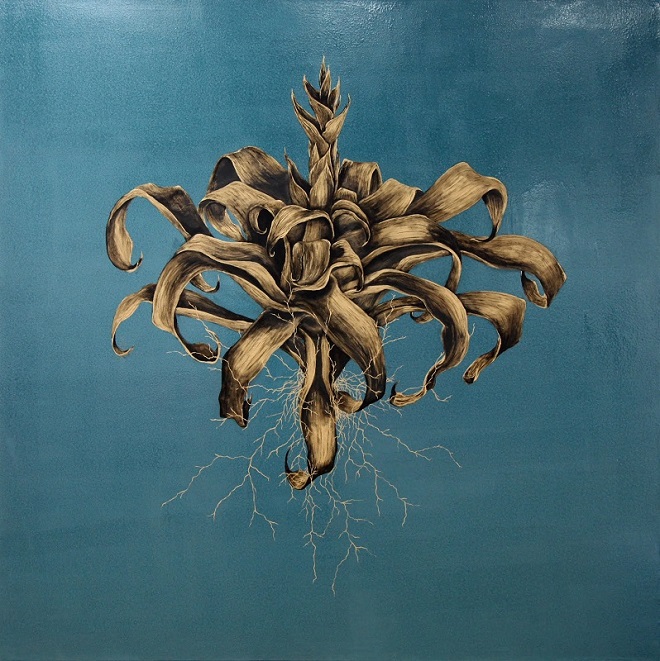 A natureza é temas de quatro exposições em cartaz na cidade