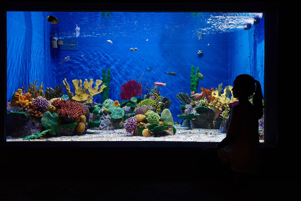 AquaRio AquaRio