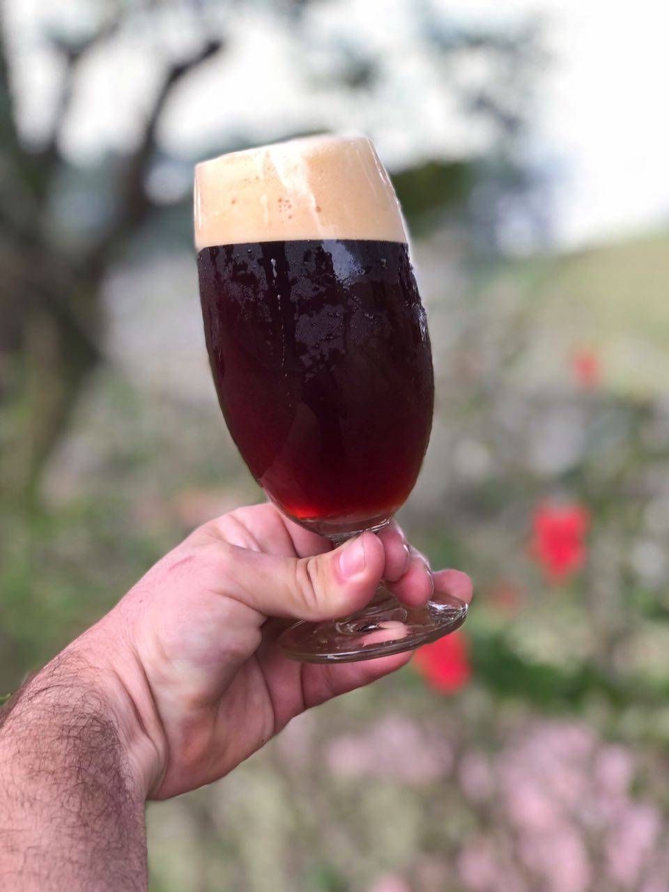 Bottobier traz de volta a doppelbock Thor em edição limitada
