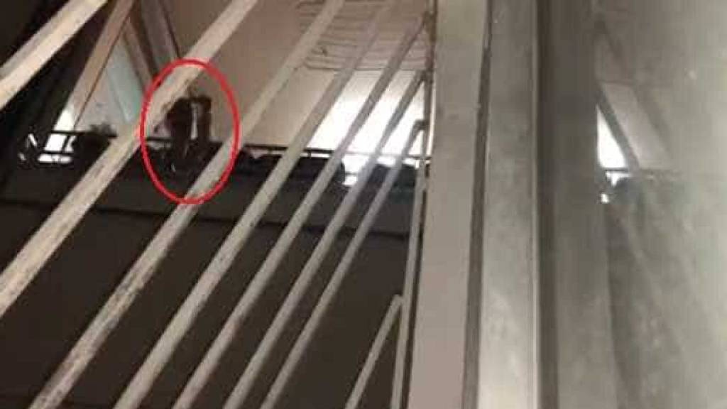 Juiz que atirou contra vizinho em Copacabana se defende