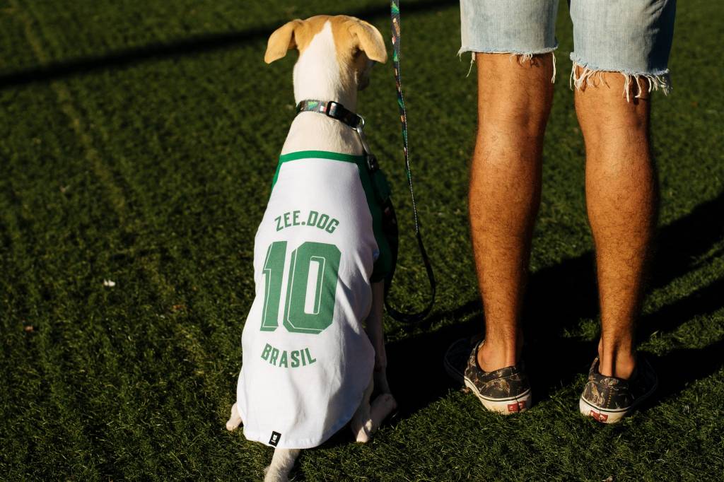 Os melhores acessórios para seu pet torcer com você nesta Copa