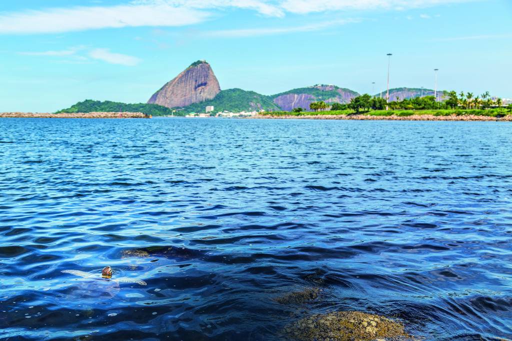 A transformação da natureza nas cidades isoladas