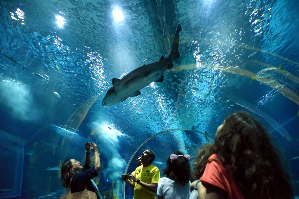 Promoção no AquaRio e shopping até tarde, como aproveitar a Black Friday
