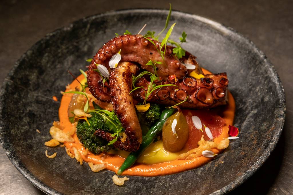 A rota do polvo: restaurantes para provar o molusco no Rio