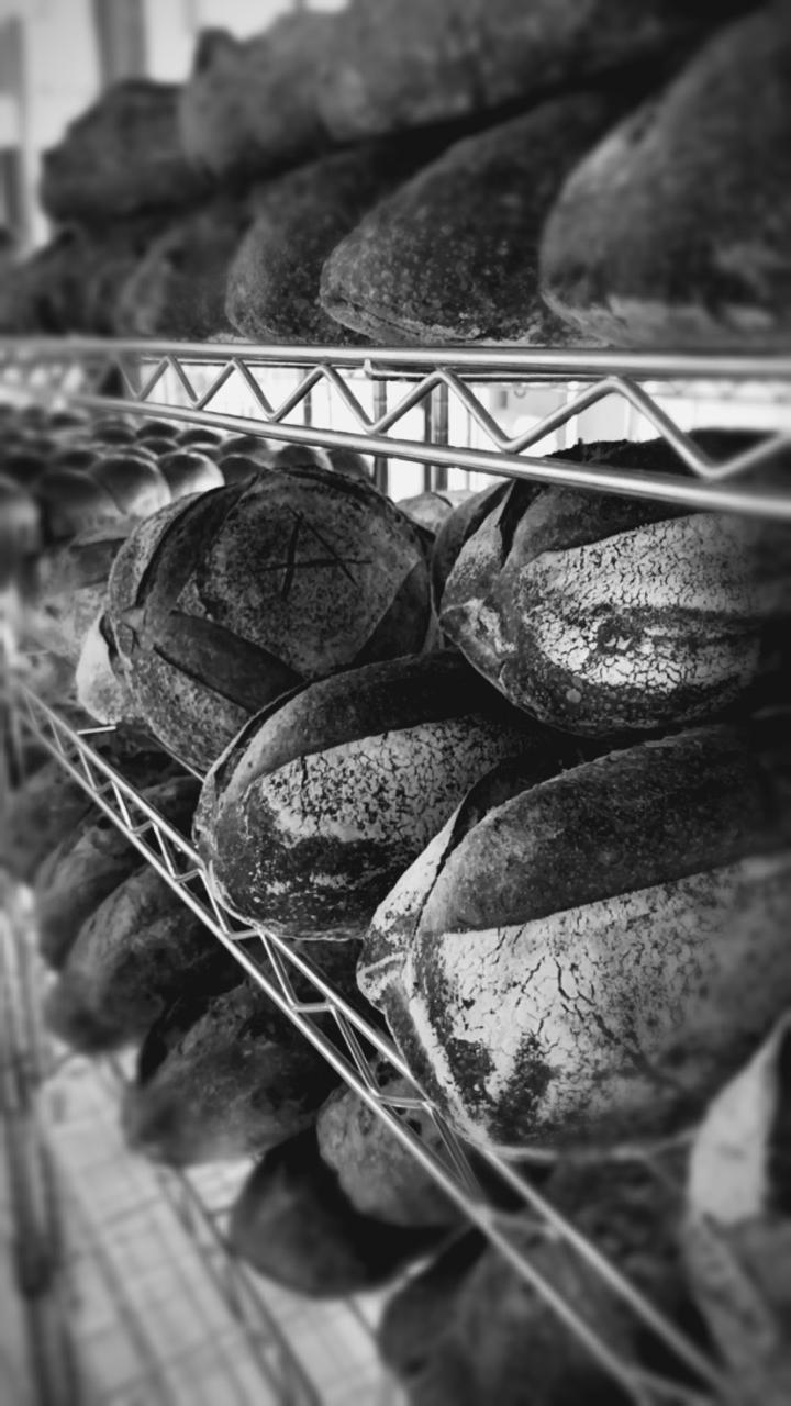 Padaria carioca faz proposta inusitada a influenciadores em busca de permuta