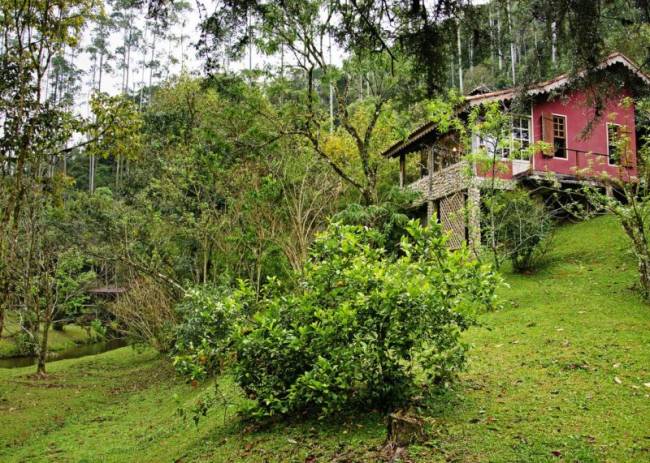 fazenda-do-mel-99-800×571 fazenda-do-mel-99-800×571