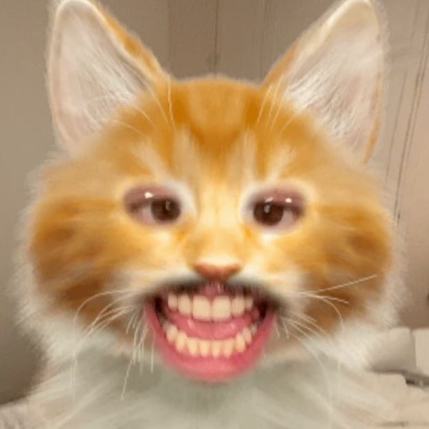 Vem pro Rio, meu Fio!