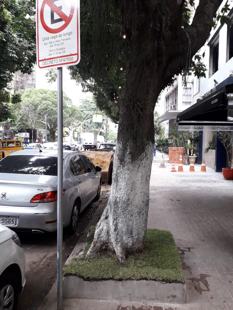 arvore nova dias ferreira arvore nova dias ferreira
